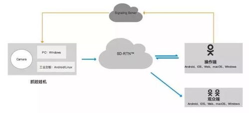 在线抓娃娃 真风口还是伪风口的音视频技术聚焦